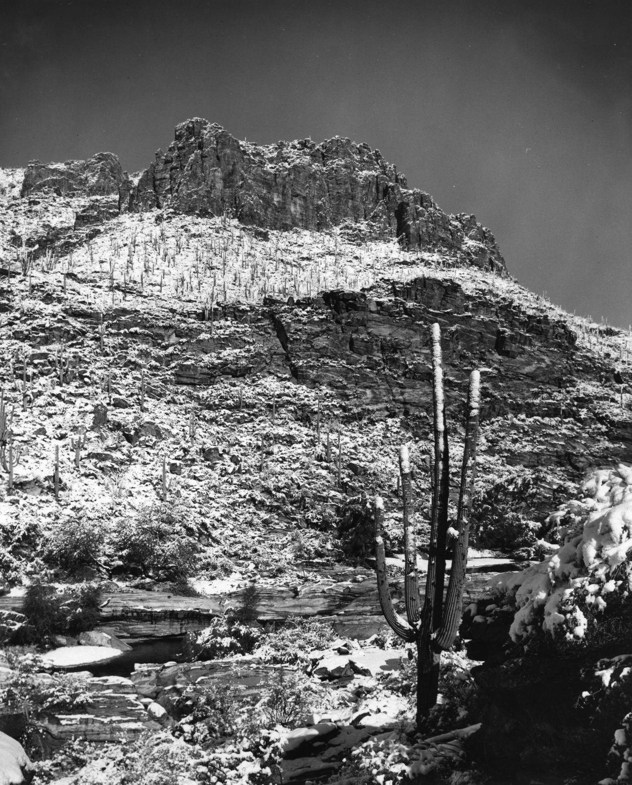 Sabino Canyon Recreation Area, Tucson